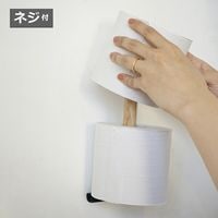 �ڡ��ѡ����ȥå��� Lapo �ۡ��ॹ�ƥå� �������� Homestead AXCIS HS3405 ���ȥå� ��Ǽ �ȥ���åȥڡ��ѡ��ۥ���� �ȥ��� �ڡ��ѡ��ۥ���� �ȥ���åȥڡ��ѡ� �ǥ����� ������� ����ƥꥢ ����ץ� ������̵�� �ݥ����10�ܡۡ�HS3405��