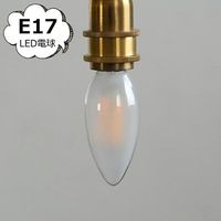 �����ǥꥢ �ե����� �̣ţ��ŵ� �ţ��� �����ŵ巿LED �ŵ� E17 HS3659 �������� �ۡ��ॹ�ƥå� Homestead LED�ŵ� E17 ���� e17 LED���� �����к�  �ŵ� LED ���ä����� ������� ��ȥ� ����ƥ����� ������ơ���<br>��HS3659��