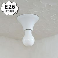 ������󥰥饤�� Flare �ۥ磻��  �� Homestead �ۡ��ॹ�ƥå� �������� ���� ����ƥ������� ��ȥ� ���� �饤�� �ɳݤ� HS3698 ������̵���ۡ�HS3698��