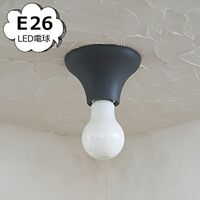 ������󥰥饤�� Flare ���졼 Homestead �ۡ��ॹ�ƥå� �������� ���� ����ƥ������� ��ȥ� ���� �饤�� �ɳݤ� HS3699 ������̵���ۡ�HS3699��