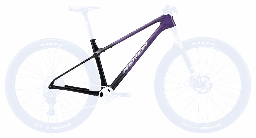 グリーンシーズン到来MTBキャンペーン【2025】BIG.NINE 10K FRAME SET