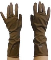 �ץ��� ���������