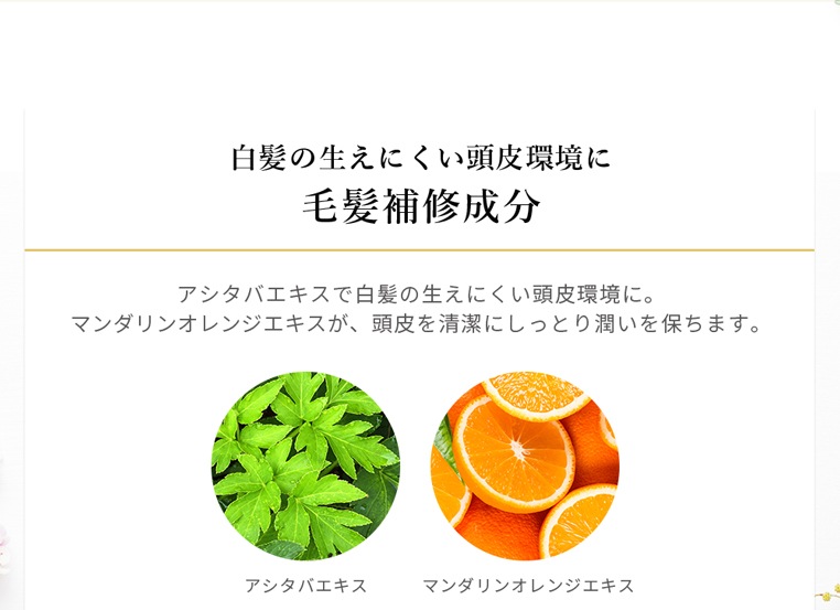顼ץס3ܥå