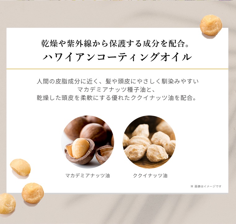 顼ץס3ܥå