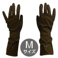 �ץ��� ���������