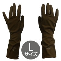 �ץ��� ���������