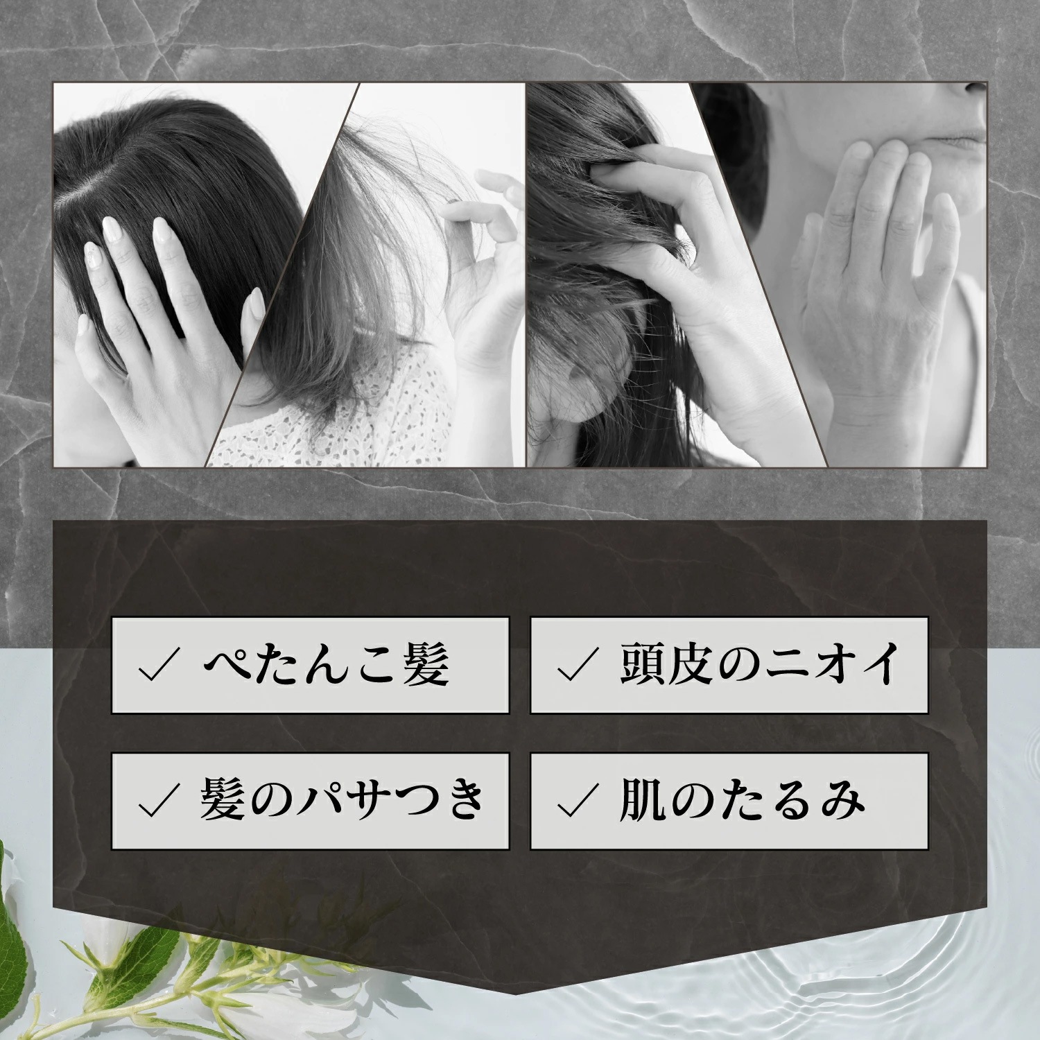 Ƭ���ֲ�������ץ֥饷