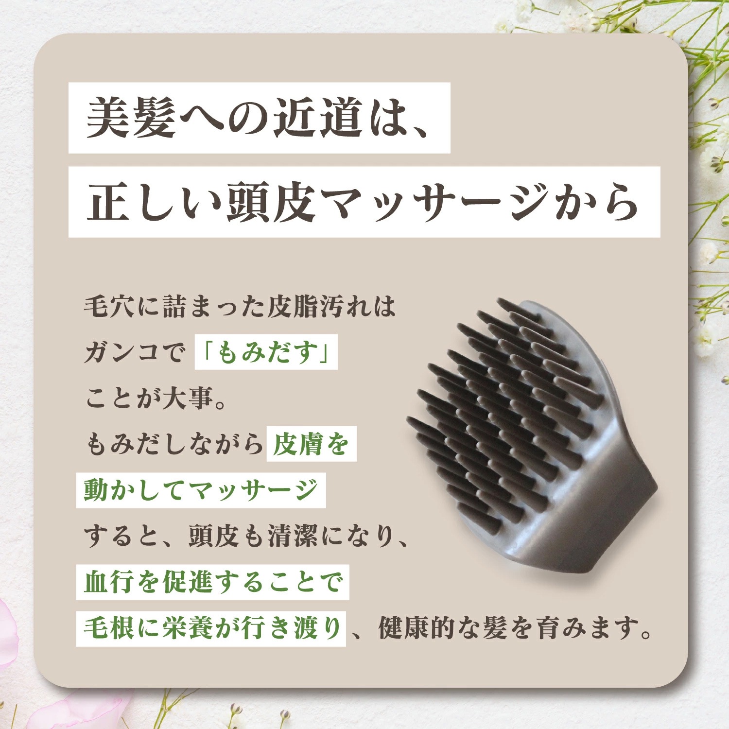 Ƭ���ֲ�������ץ֥饷