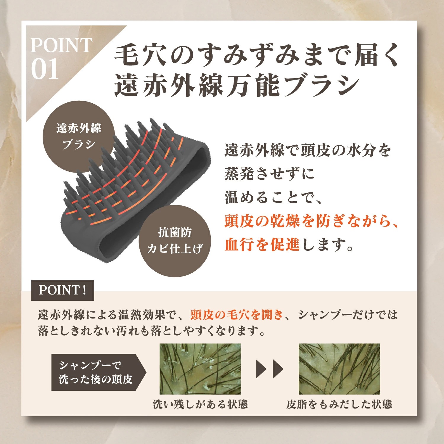 Ƭ���ֲ�������ץ֥饷