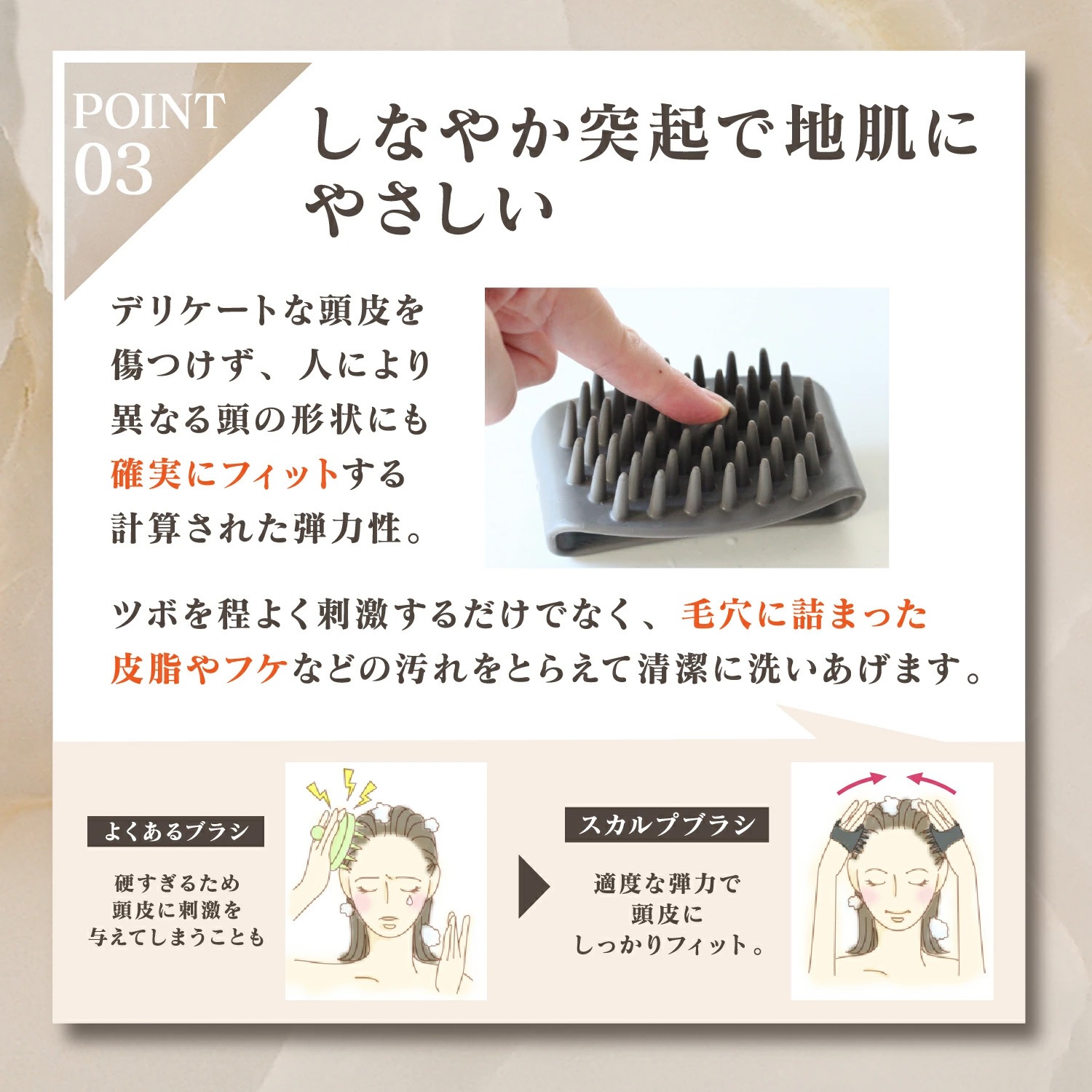 Ƭ���ֲ�������ץ֥饷