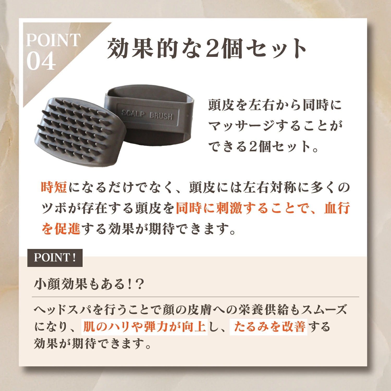 Ƭ���ֲ�������ץ֥饷