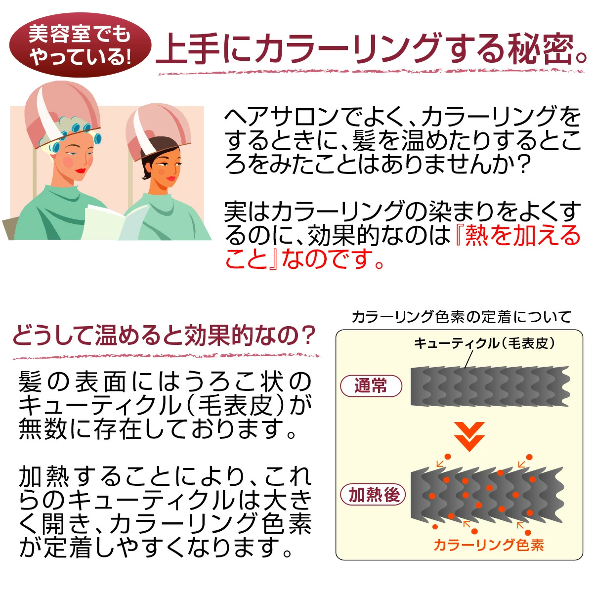 �ǥ奢�� �إ�����å� ��ȱ���� �إ����顼 ���顼�ȥ꡼�ȥ��� �ݲ� 