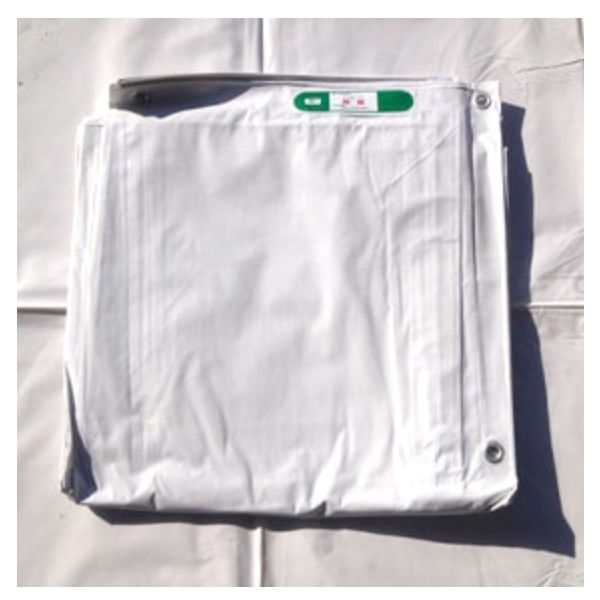 10祻åȡɱꥷȡ1.8m x 3.4m (P300)