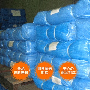 ���磱���åȡ����֥롼�����ȡ�#3000��10m-10m