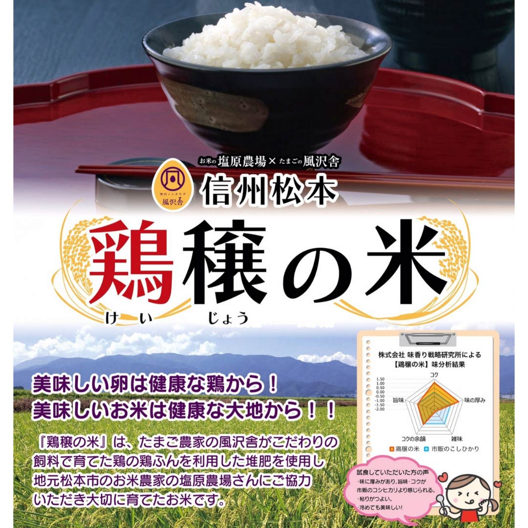 信州ノニタマゴこだわりTKGセット