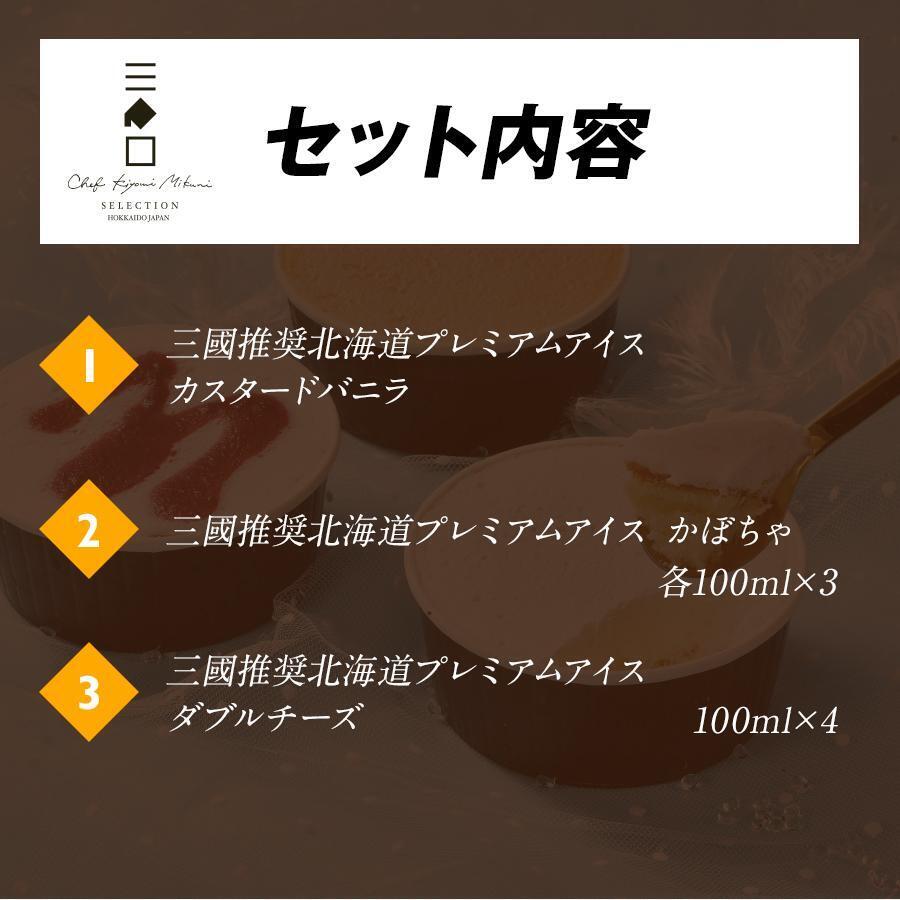 三國推奨　北海道プレミアムアイス3種セット（10個入り）