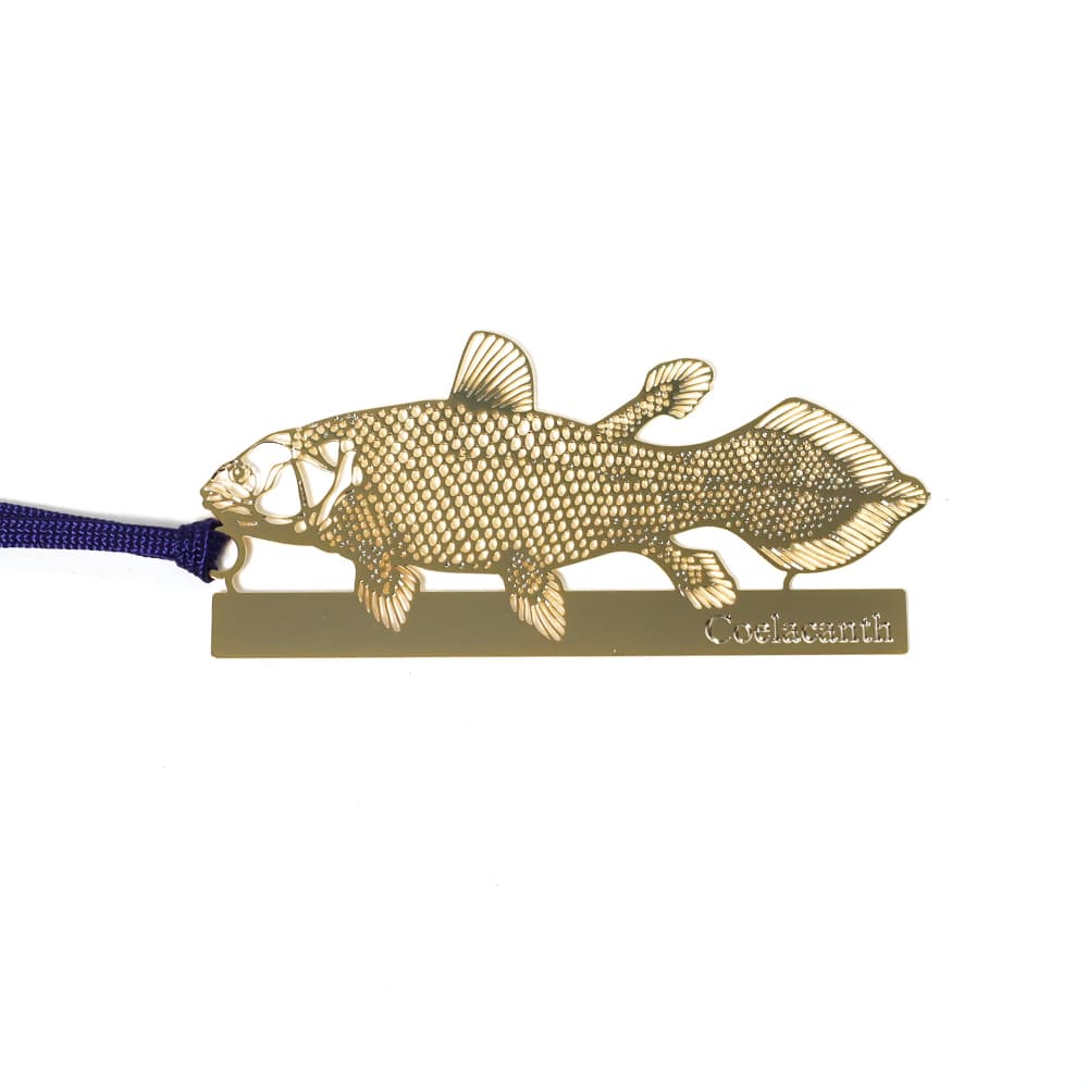 日本画「シーラカンス」 シーラカンス (@sinkai1137) / Posts / X