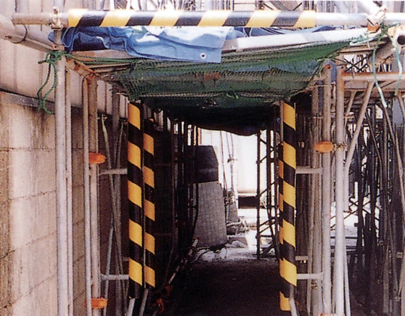 ˡ͸꾦ʡñɥСڥȥۡ10ܥåȡ