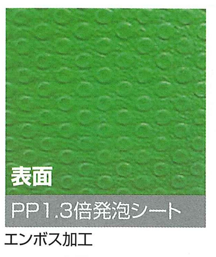 ��ˡ�͸��꾦�ʡۥץ�٥˥��եȡ�ξ��NS�������ȥ����� (5��)