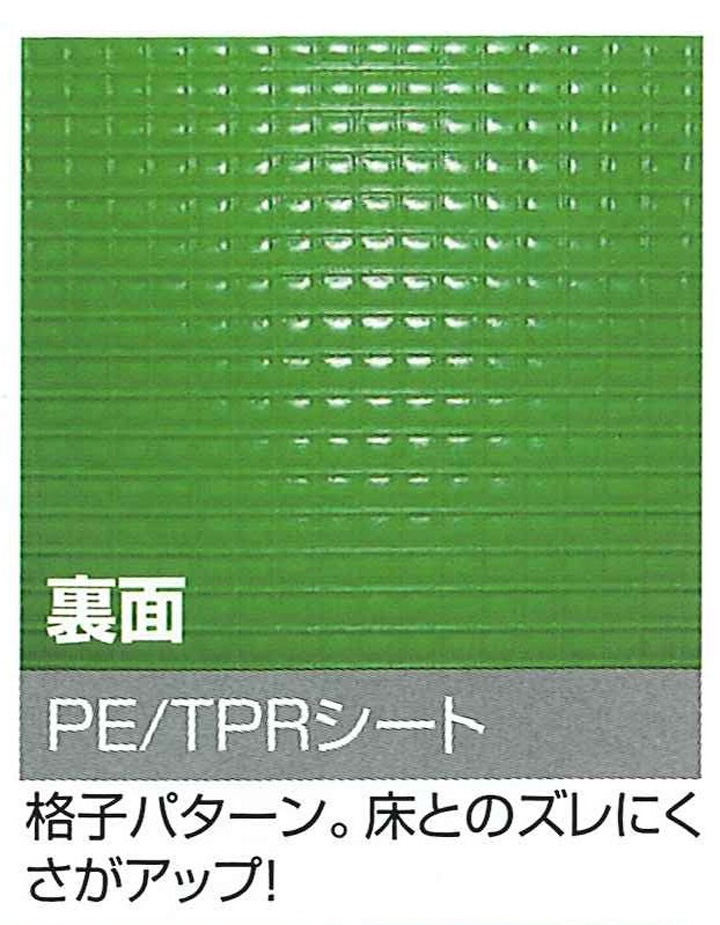 ��ˡ�͸��꾦�ʡۥץ�٥˥��եȡ�ξ��NS�������ȥ�����(20��)