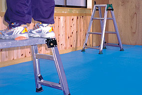 ��ˡ�͸��꾦�ʡۥ����Υ󡡡�10�ܥ��åȡ�