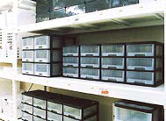 ��ˡ�͸��꾦�ʡ۸�ʪ�����¤�����ߥѥͥ�WT 09300������9mm��910mm��1820mm��5���