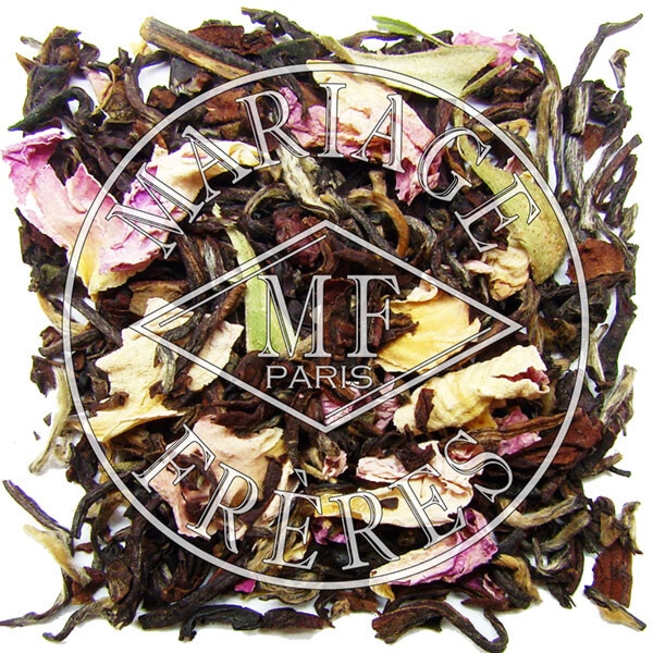 DARJEELING ROSE CAMELIA / ダージリン ローズ カメリア | すべての