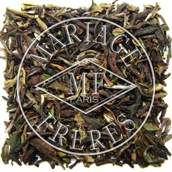 mameページ ダマンフレール マリアージュフレール mameページ ダマンフレール マリアージュフレール mameページ