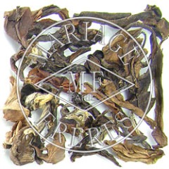 OOLONG IMPERIAL / ウーロン インペリアル | すべての商品