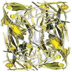 THE BLANC ORIENTAL / テ ブラン オリエンタル | すべての商品