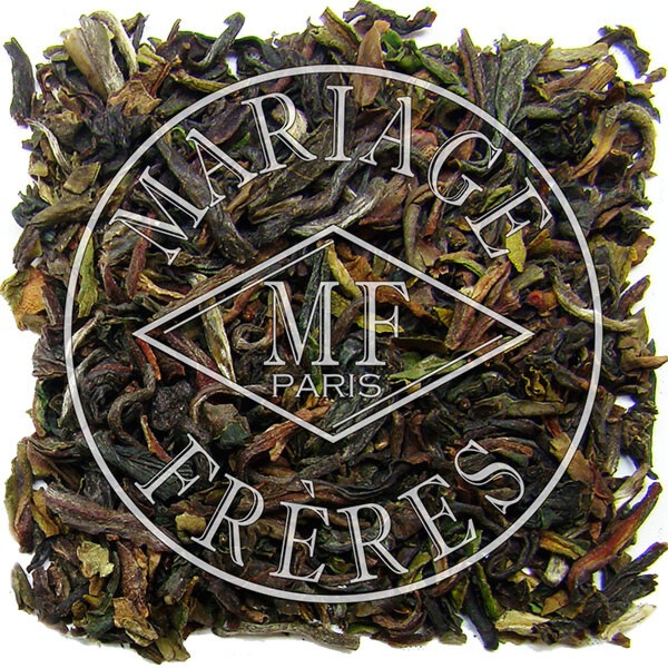 kyo9ページ①マリアージュフレール ダマンフレール kyo9ページ①