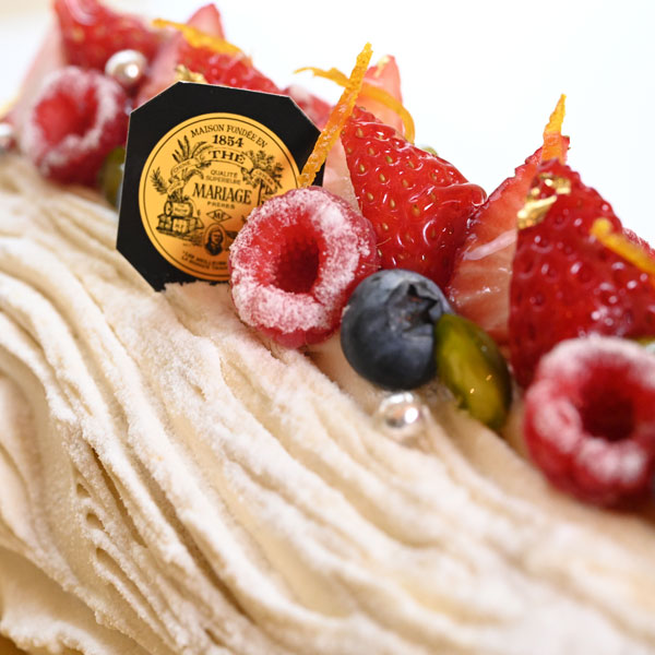 BUCHE FRENCH NOEL / ビュッシュ フレンチ ノエル | すべての