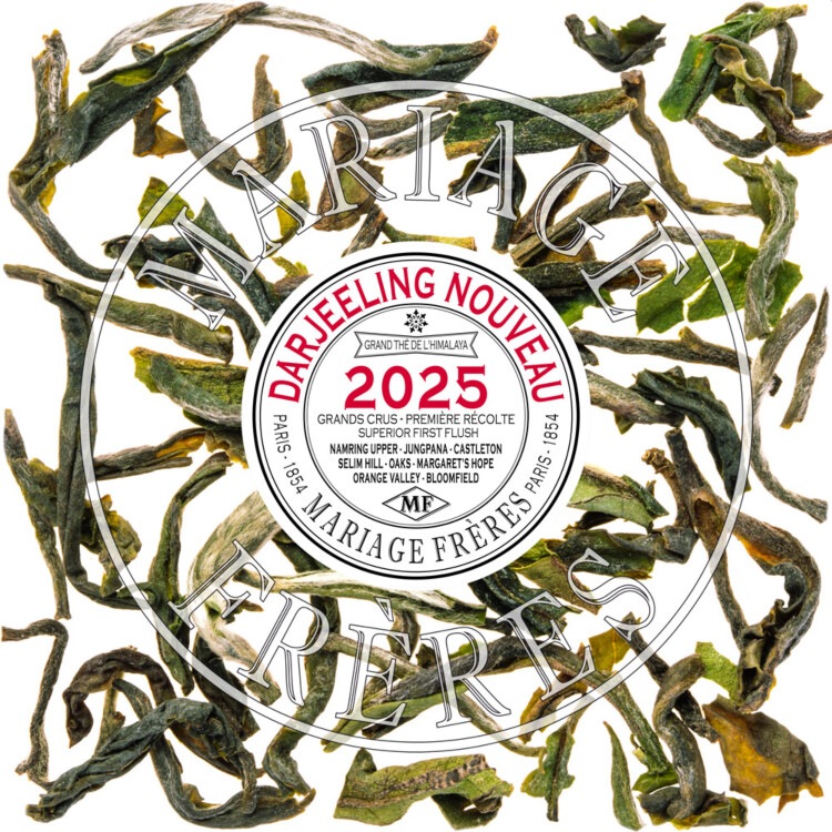 kyo9ページ①マリアージュフレール ダマンフレール kyo9ページ①マリアージュフレール ダマンフレール kyo9ページ①