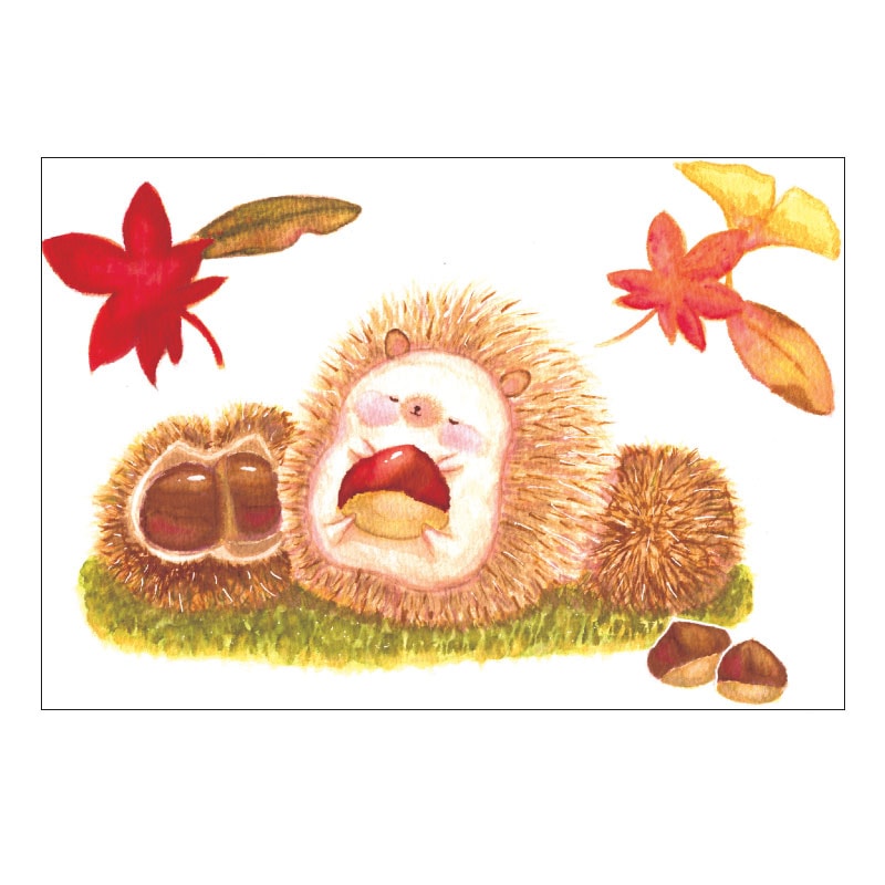 絵葉書 【ハリネズミ】 №698