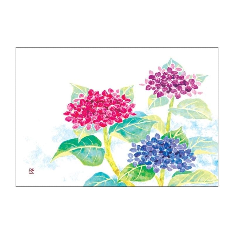 絵葉書 【紫陽花】 №287