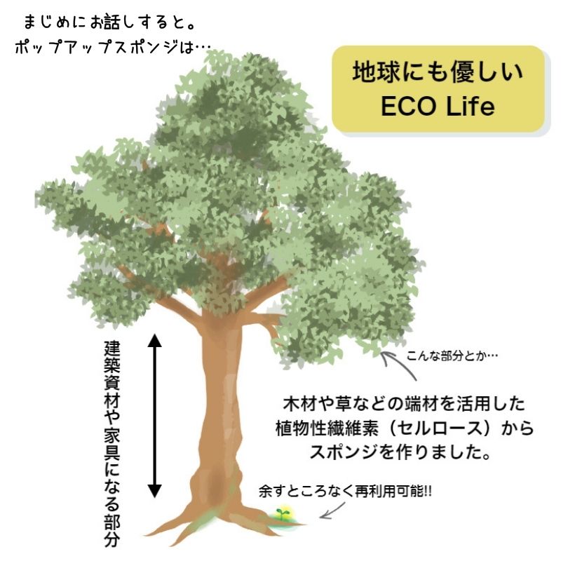 【新生活応援フェア 3月末まで 880円off 】 ギフトにピッタリ キッチン便利グッズ3点セット エコバッグ キッチンクロス ポップアップスポンジのセット