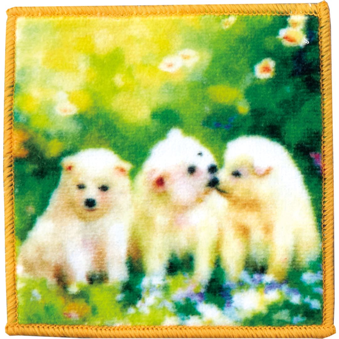 タオルコースター 【子犬】 №416 ＼今治のタオル／