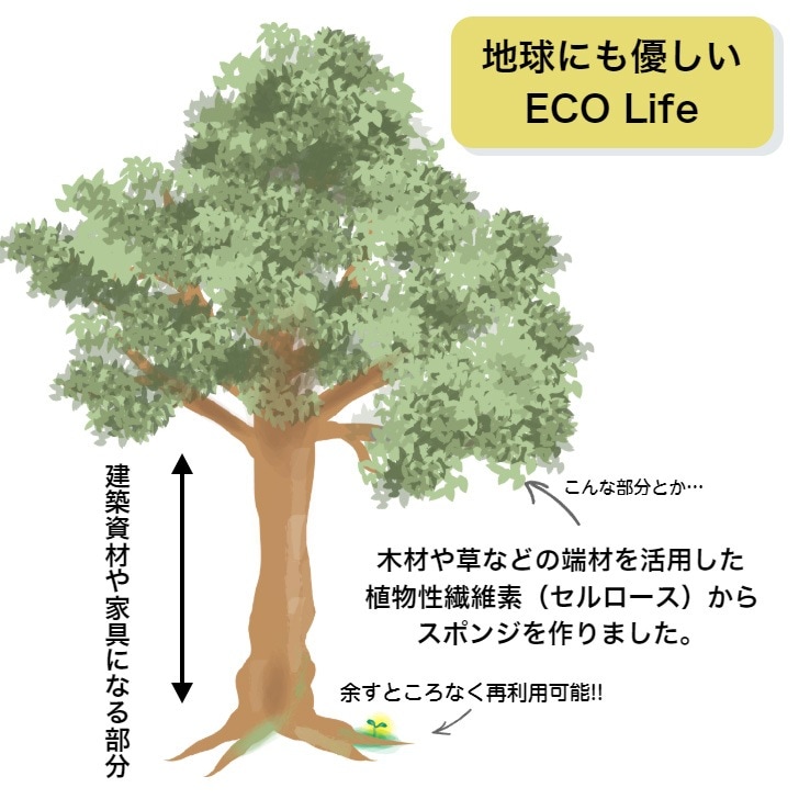 ポップアップスポンジ 【なかよし仔ネコ】 №725