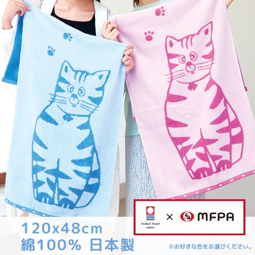 【おとぼけネコのご自宅ほっこりセット】＼ 新生活応援フェア 1,500円off 数量限定 ／ コンパクトバスタオル かや生地ふきん マルチポーチ