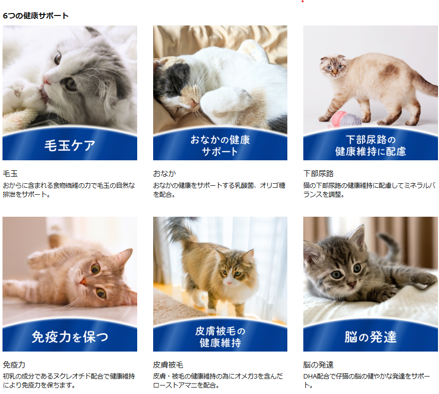 SAI-083(010)【お試しセット】【チキン】AIM30 11歳以上の室内避妊・去勢後猫用 腎臓の健康ケア 80g×2　