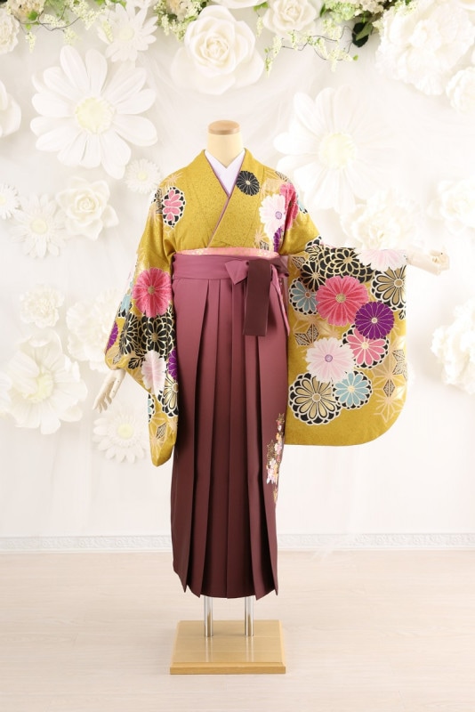 2尺袖 タレント ポリエステル着物 大島優子 金彩 袴用 2尺袖 タレント ポリエステル着物 大島優子 金彩 袴用 2尺袖