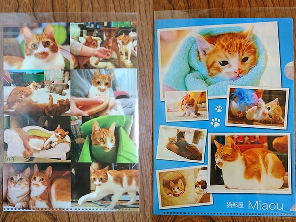 ǭꥸʥ륯ꥢե No.23祻å