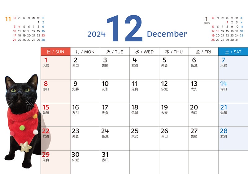 �������դ���������2024ǯ�Υ����������ڼ̿��ѡ�