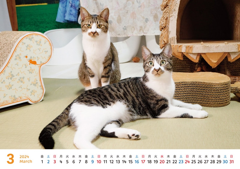 �������դ���������2024ǯ�Υ����������ڼ̿��ѡ�