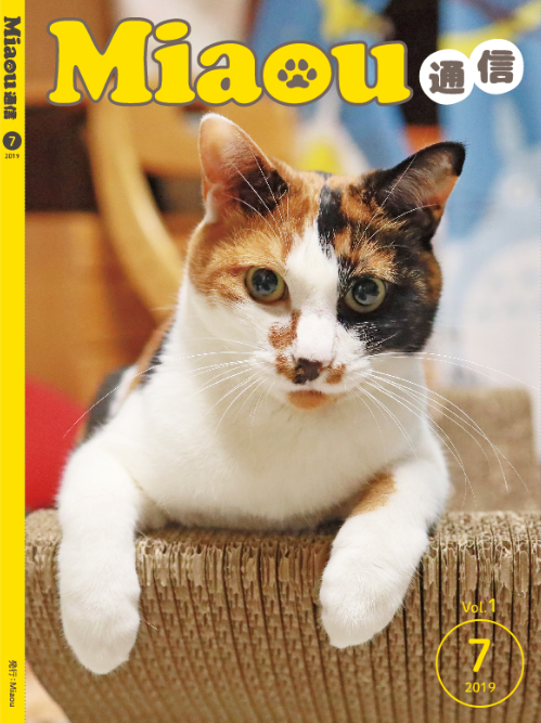 Miaou ̿7
