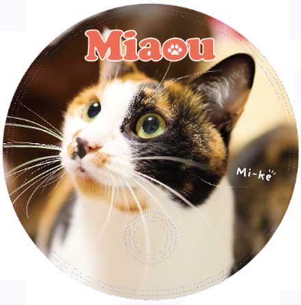 Miaou ̿7