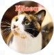 Miaou ̿7
