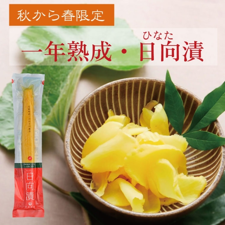 1111ŷְǯҡסޡ(桦)