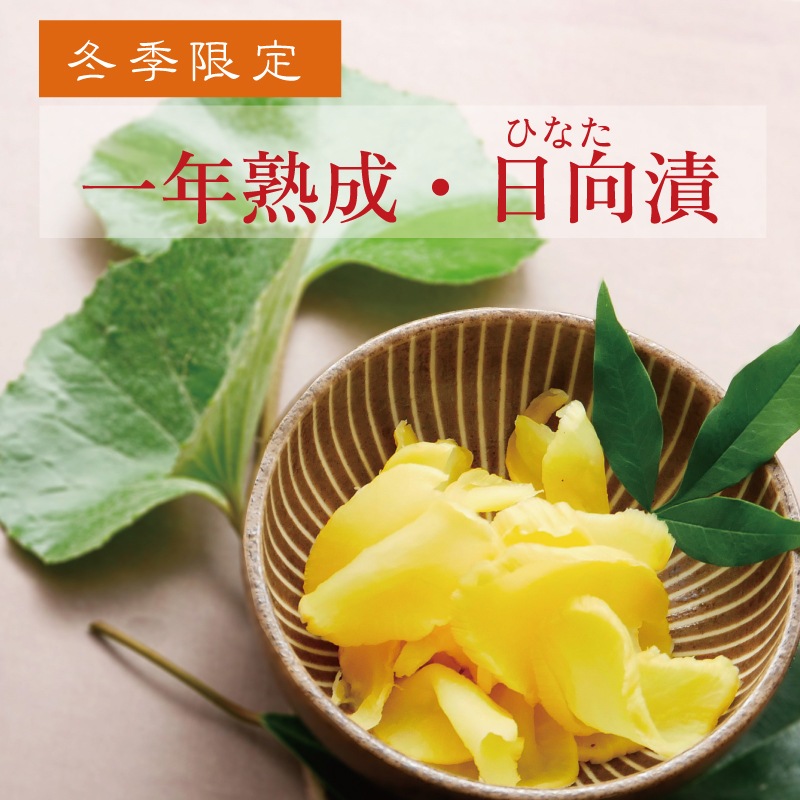 2025ǯ11ܤͽۤ䤰ŷҡޡ ǯ(桦)