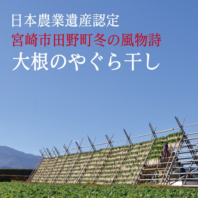 2025ǯ11ܤͽۤ䤰ŷҡޡ ǯ(桦)